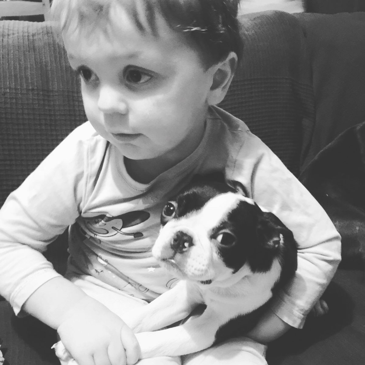 A young boy and a Boston Terrier hoping to be a vet.